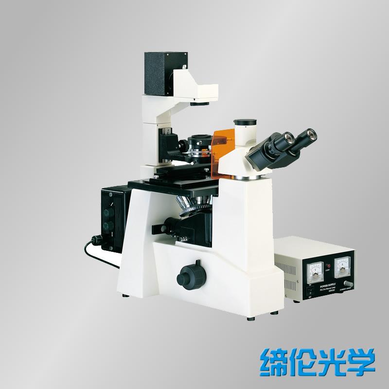 上海缔伦荧光显微镜DXY-1
