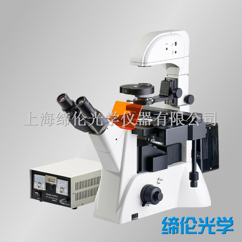 上海缔伦荧光显微镜DXY-2